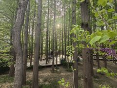 -青岛海滨风景区