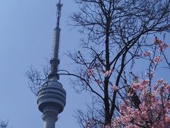-龟山风景区-龟山电视塔