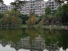 -皇冠 · 玛莉奥(丽江店)