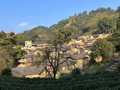 -杨家堂村