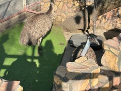 -J Create城市露营咖啡·简餐·宠物(上海动物园店)