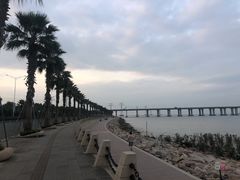 -宝安西湾红树林湿地公园