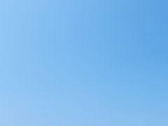 -金海滩海水浴场