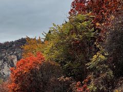 -云蒙山风景区