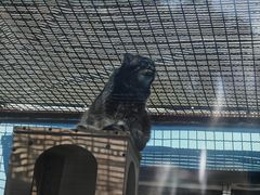 -青藏高原野生动物园