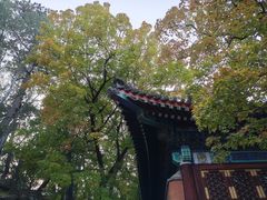 -小吊梨汤·北京菜(香山店)