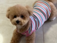 -西安市未央区汉城畜牧兽医站