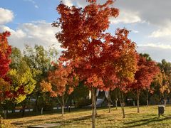 -长春世界雕塑园冰雪艺术天地