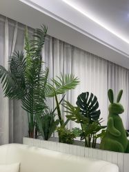 -白月光皮肤管理·德国LDM