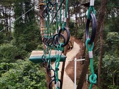 -芦仙山景区-飞越丛林探险乐园