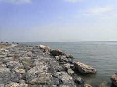 -合肥滨湖国家森林公园