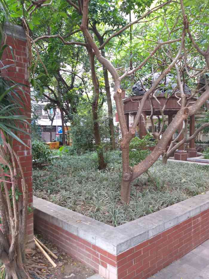 东山少爷公园-"在我国,各式各样的美景举不胜数.新时代的.