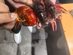 -通乐簋街小龙虾(老店)
