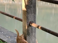 -晓港公园