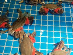 -阳光岛·海鲜盛宴(银泰中心in99店)
