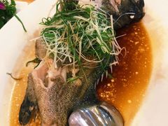 清蒸老虎斑-益健海鲜大食坊(拱北口岸店)