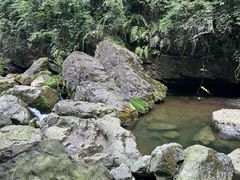 -龙苍沟森林公园