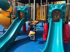 -上海崇明金茂凯悦酒店