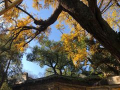 -无锡惠山寺