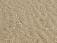 -红树林天天赶海