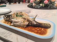 -百彦蒙古包·碳烤羊排·手抓羊肉(万江首店)