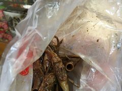 -上海老天禄