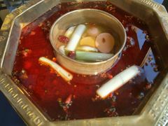 -蜀九香火锅(彩虹店)