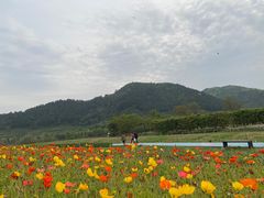-径山花海