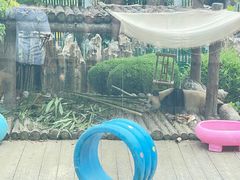 -大连森林动物园