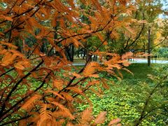 -国家植物园南园