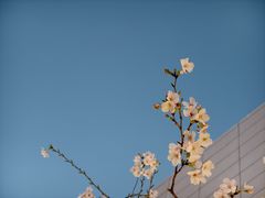 -万达广场(无锡滨湖店)