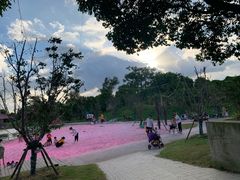 -上海杨姆庄园