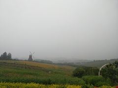 -紫颐香薰山谷景区