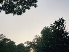-聚龙山公园
