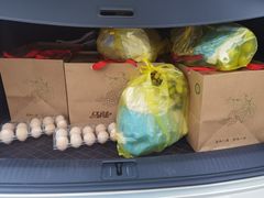 -马陆小张葡萄园农家乐