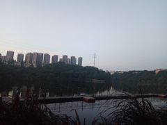 -重庆彩云湖湿地公园