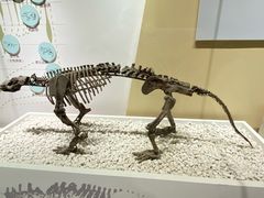 -国家自然博物馆