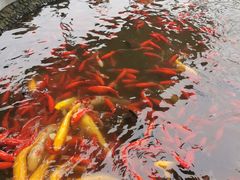 -成飞公园