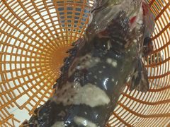 -鑫鸿达·海鲜闽菜热炒小馆(中山路店)