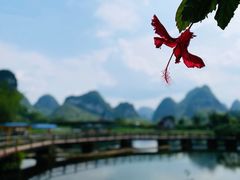 -靖西鹅泉风景区