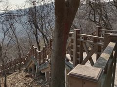 -南京老山国家森林公园