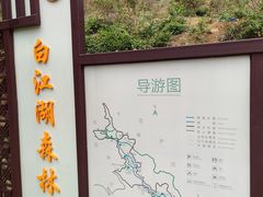 -广州白江湖森林公园