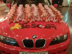 -济州岛泰迪熊博物馆