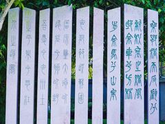 -武昌江滩