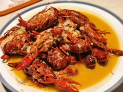 -杨氏青龙虾·羊蝎子(托乐嘉店)