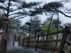 -沂蒙山旅游区云蒙景区(蒙山国家森林公园)