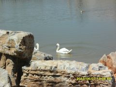 -鄂尔多斯野生动物园