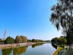 -羊亭河湿地公园