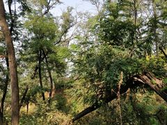 -抚顺煤矿博物馆