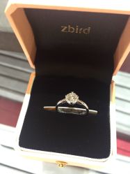 -Zbird钻石小鸟·钻戒婚戒定制高端珠宝私人定制中心